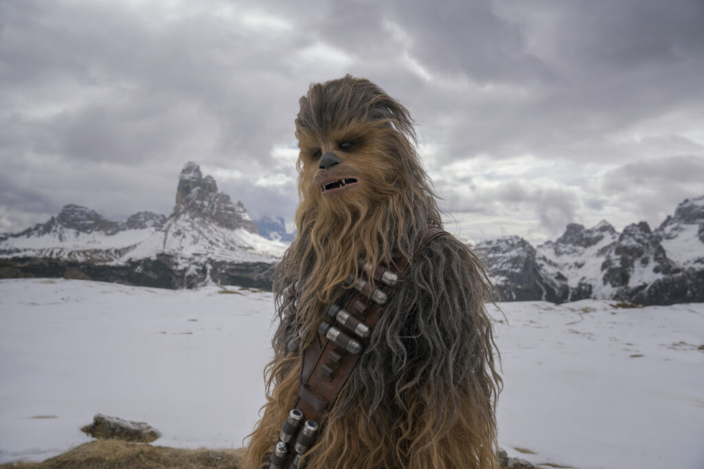 Characters Beginning With C - Chewbacca