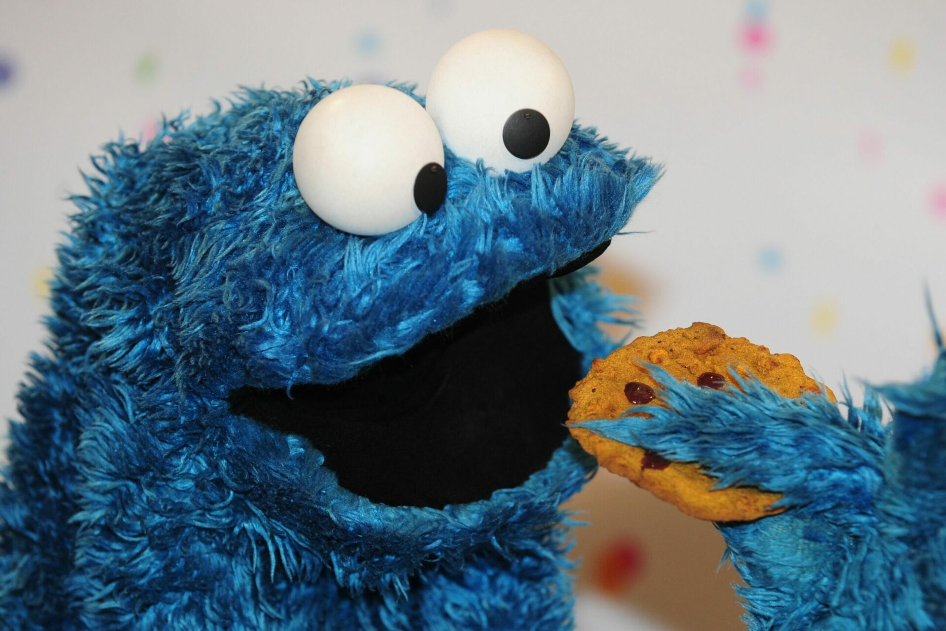 Characters Beginning With C - Cookie Monster