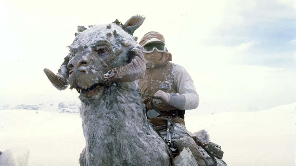 Tauntaun Star Wars Creatures