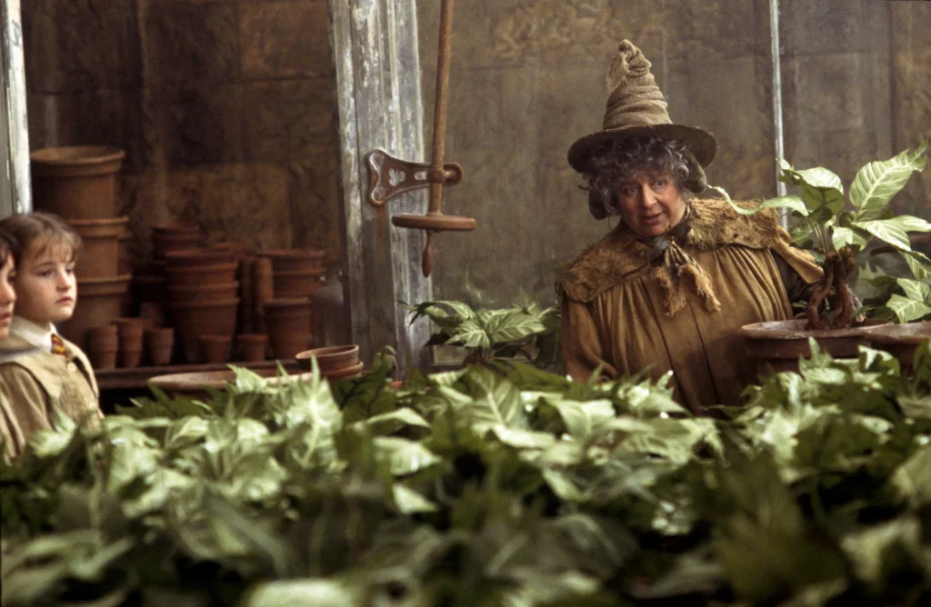 Most Powerful Hogwarts Professors - Pomona Sprout