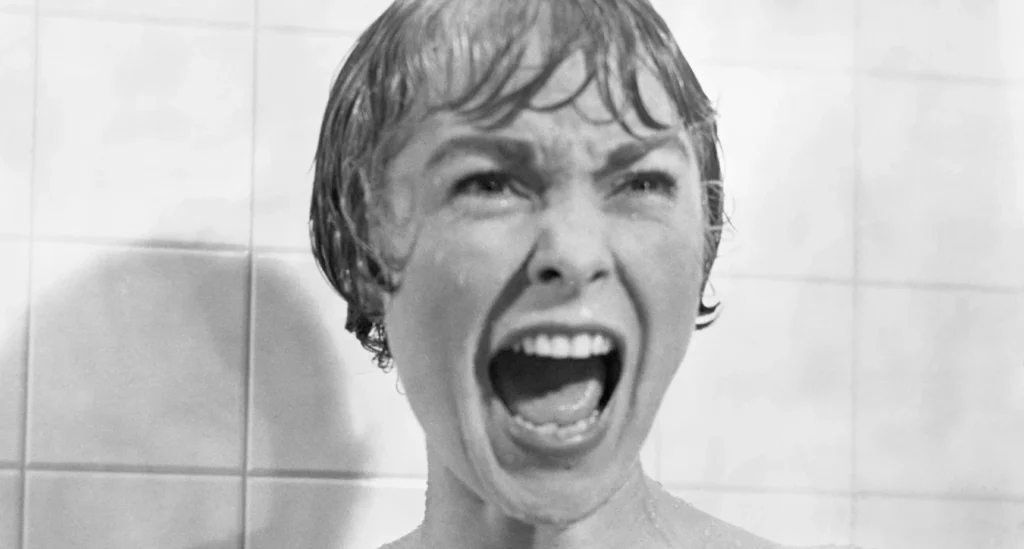 Best Thriller Movies - Psycho