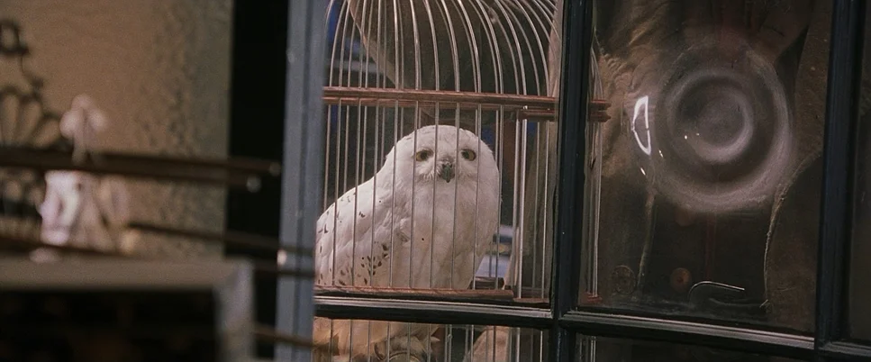 Characters Beginning With H - Hedwig