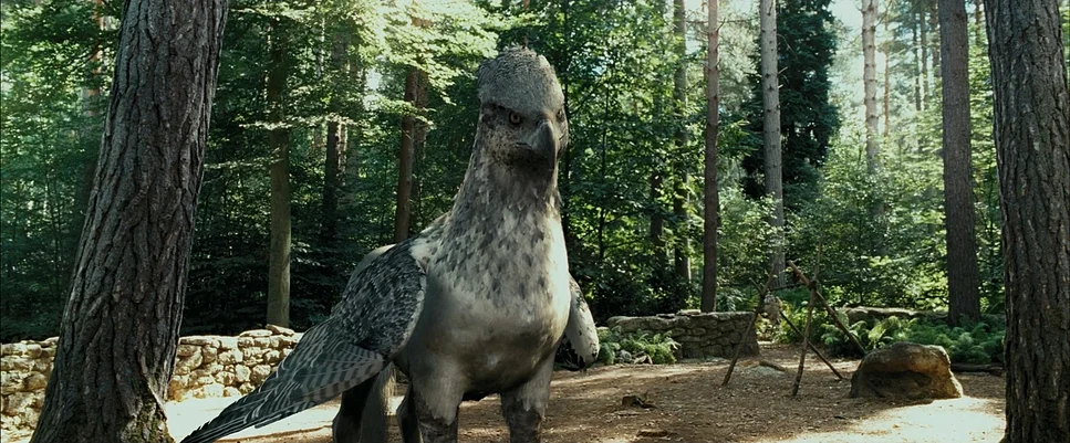 Characters Beginning With H - Hippogriff