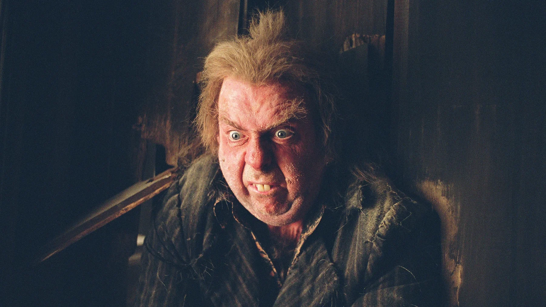 Best Harry Potter Villains - Wormtail (Peter Pettigrew)